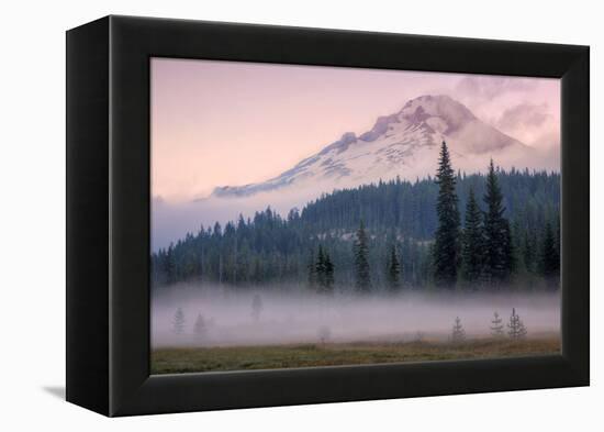 Misty Morning at Mount Hood Meadow-Vincent James-Framed Premier Image Canvas