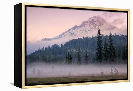 Misty Morning at Mount Hood Meadow-Vincent James-Framed Premier Image Canvas