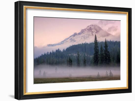 Misty Morning at Mount Hood Meadow-Vincent James-Framed Premium Photographic Print