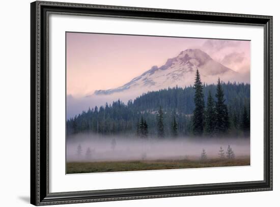 Misty Morning at Mount Hood Meadow-Vincent James-Framed Premium Photographic Print