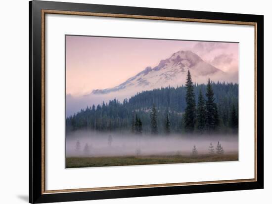 Misty Morning at Mount Hood Meadow-Vincent James-Framed Premium Photographic Print