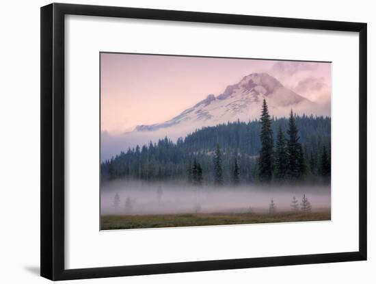 Misty Morning at Mount Hood Meadow-Vincent James-Framed Photographic Print