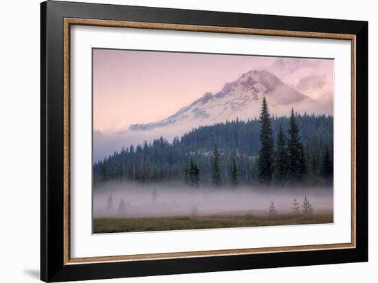 Misty Morning at Mount Hood Meadow-Vincent James-Framed Photographic Print