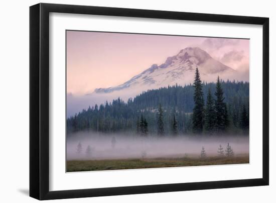 Misty Morning at Mount Hood Meadow-Vincent James-Framed Photographic Print