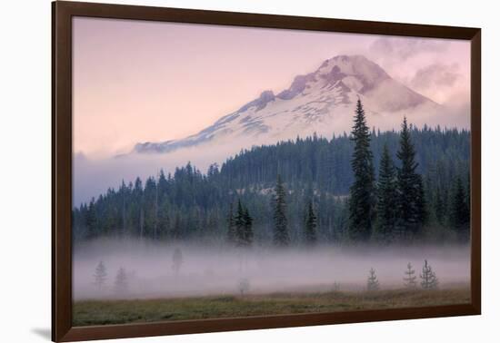 Misty Morning at Mount Hood Meadow-Vincent James-Framed Photographic Print