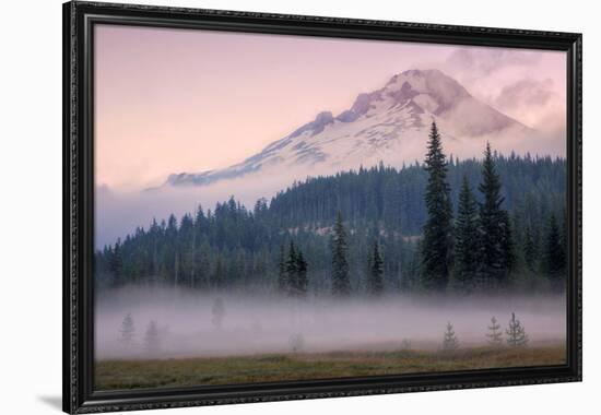 Misty Morning at Mount Hood Meadow-Vincent James-Framed Photographic Print