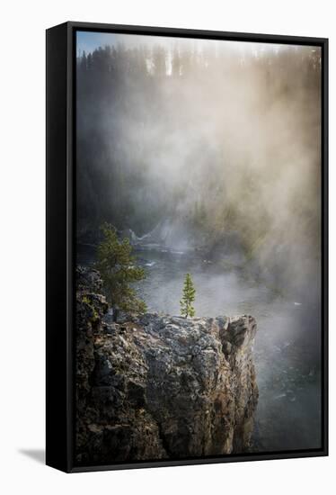 Misty Morning At The Upper Falls On The Yellowstone River-Bryan Jolley-Framed Stretched Canvas