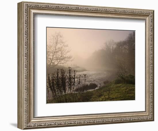 Misty Morning, Exe Valley, Devon, England, United Kingdom, Europe-Jeremy Lightfoot-Framed Photographic Print