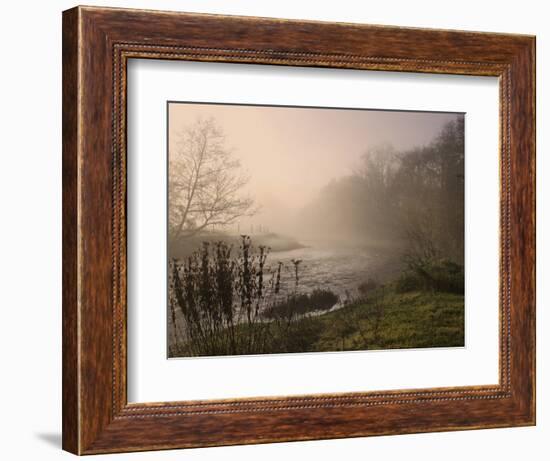 Misty Morning, Exe Valley, Devon, England, United Kingdom, Europe-Jeremy Lightfoot-Framed Photographic Print