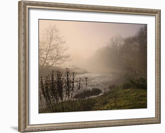 Misty Morning, Exe Valley, Devon, England, United Kingdom, Europe-Jeremy Lightfoot-Framed Photographic Print