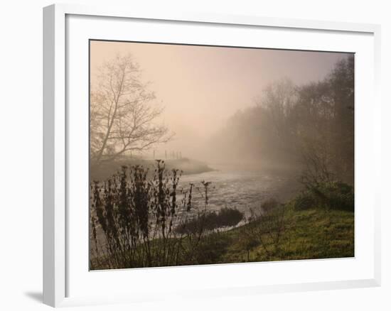 Misty Morning, Exe Valley, Devon, England, United Kingdom, Europe-Jeremy Lightfoot-Framed Photographic Print