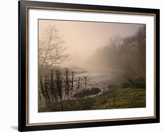 Misty Morning, Exe Valley, Devon, England, United Kingdom, Europe-Jeremy Lightfoot-Framed Photographic Print