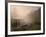 Misty Morning, Exe Valley, Devon, England, United Kingdom, Europe-Jeremy Lightfoot-Framed Photographic Print