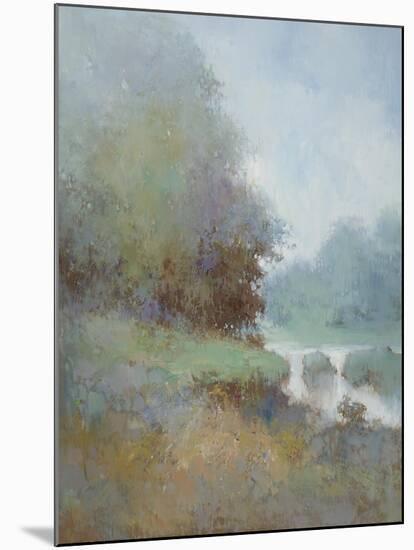 Misty Morning Fog-Jan Zhang-Mounted Premium Giclee Print