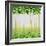 Misty Morning Forest-Herb Dickinson-Framed Photographic Print