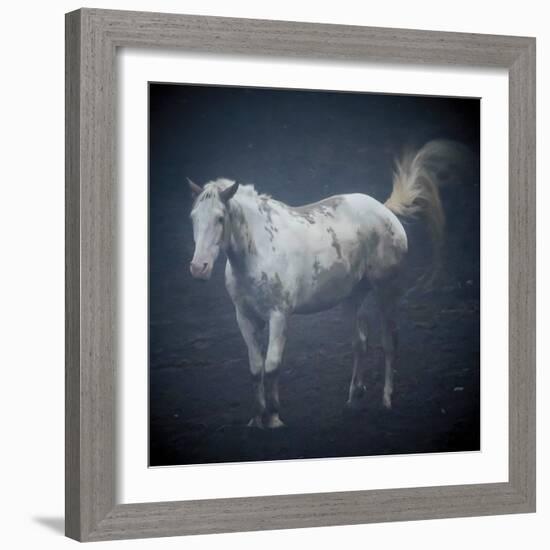 Misty Morning Horse-Laura Warren-Framed Giclee Print