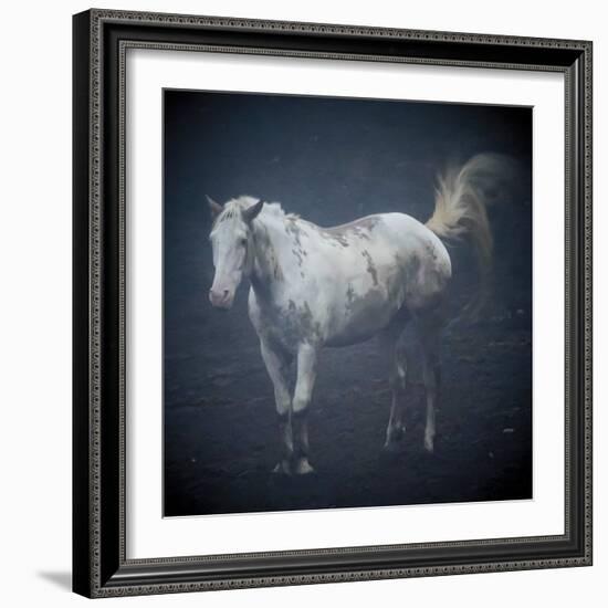 Misty Morning Horse-Laura Warren-Framed Giclee Print