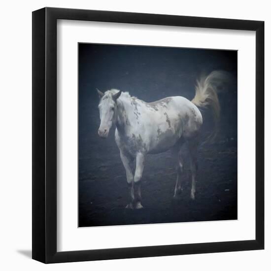 Misty Morning Horse-Laura Warren-Framed Giclee Print