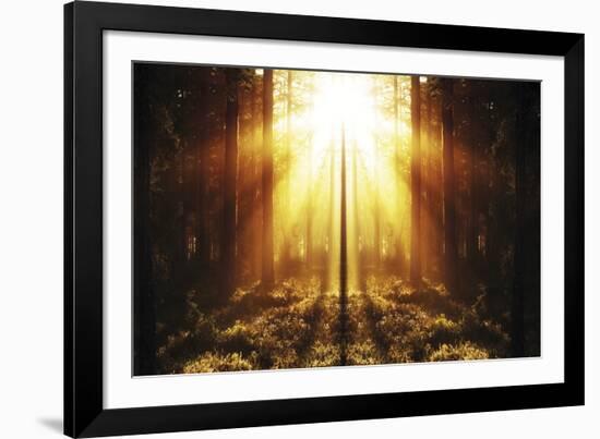 Misty Morning I-Andreas Stridsberg-Framed Giclee Print