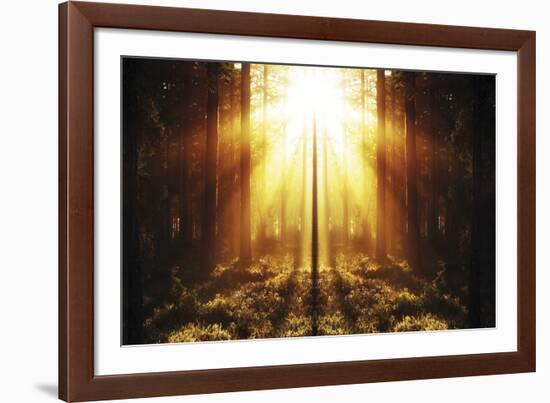 Misty Morning I-Andreas Stridsberg-Framed Giclee Print