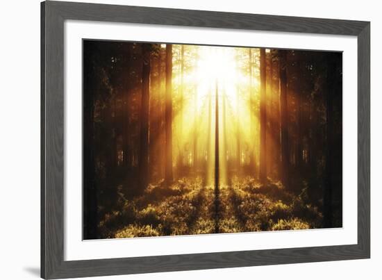 Misty Morning I-Andreas Stridsberg-Framed Giclee Print