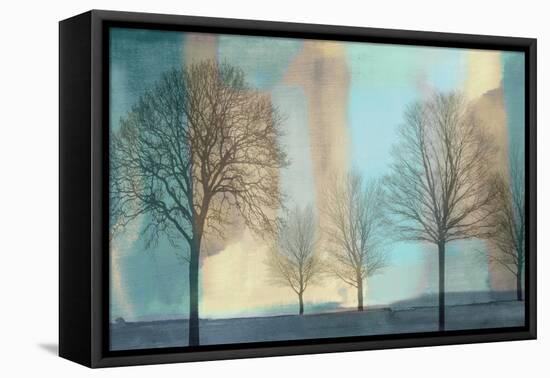 Misty Morning I-Chris Donovan-Framed Stretched Canvas