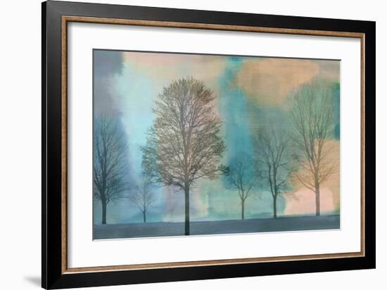 Misty Morning II-Chris Donovan-Framed Giclee Print