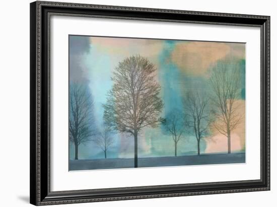 Misty Morning II-Chris Donovan-Framed Giclee Print