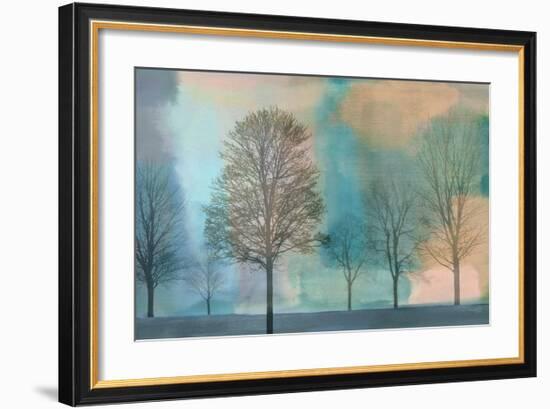 Misty Morning II-Chris Donovan-Framed Giclee Print