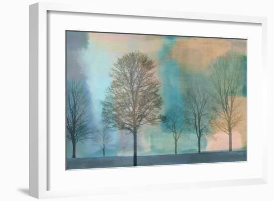 Misty Morning II-Chris Donovan-Framed Giclee Print