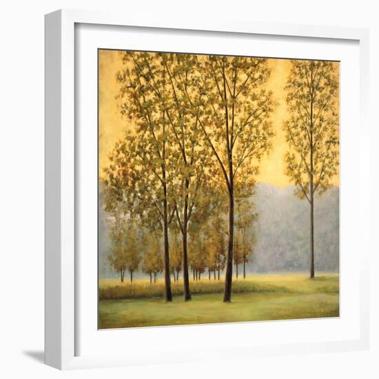 Misty Morning II-Neil Thomas-Framed Art Print