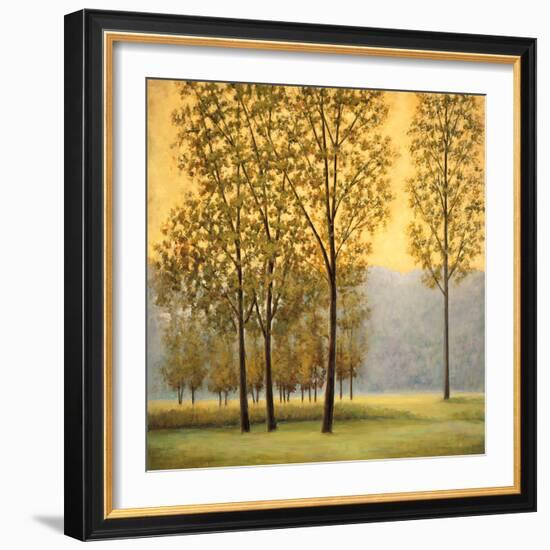 Misty Morning II-Neil Thomas-Framed Art Print