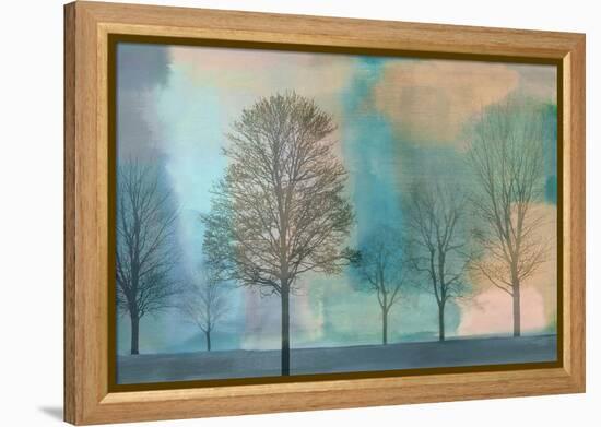 Misty Morning II-Chris Donovan-Framed Stretched Canvas