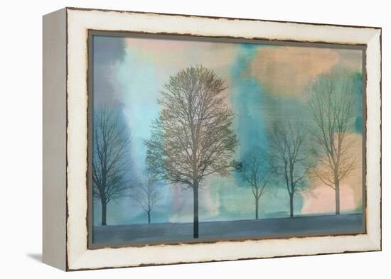 Misty Morning II-Chris Donovan-Framed Stretched Canvas