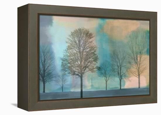 Misty Morning II-Chris Donovan-Framed Stretched Canvas