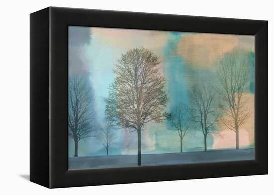 Misty Morning II-Chris Donovan-Framed Stretched Canvas