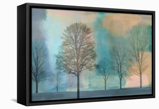 Misty Morning II-Chris Donovan-Framed Stretched Canvas