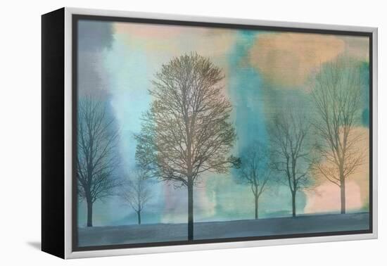 Misty Morning II-Chris Donovan-Framed Stretched Canvas