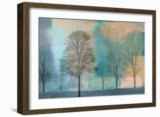 Misty Morning II-Chris Donovan-Framed Art Print