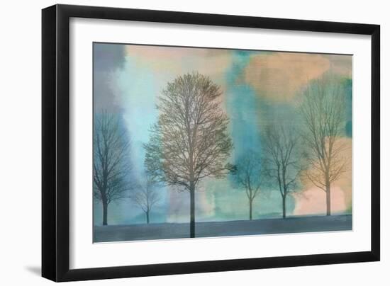Misty Morning II-Chris Donovan-Framed Art Print
