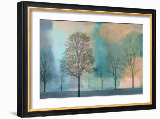 Misty Morning II-Chris Donovan-Framed Art Print