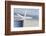 Misty Morning IV-Elizabeth Urquhart-Framed Photo