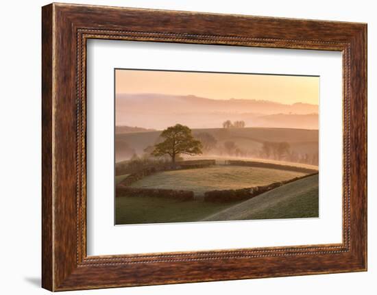 Misty morning over rolling countryside near Crediton, Devon. Spring (May) 2016.-Adam Burton-Framed Photographic Print