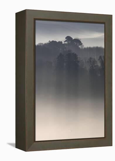 Misty Morning, River Teign, Devon, England-David Clapp-Framed Premier Image Canvas