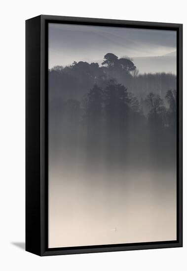 Misty Morning, River Teign, Devon, England-David Clapp-Framed Premier Image Canvas