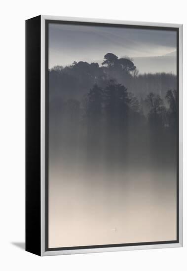 Misty Morning, River Teign, Devon, England-David Clapp-Framed Premier Image Canvas