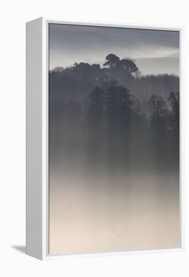 Misty Morning, River Teign, Devon, England-David Clapp-Framed Premier Image Canvas