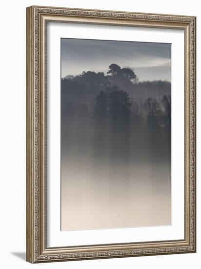 Misty Morning, River Teign, Devon, England-David Clapp-Framed Photographic Print