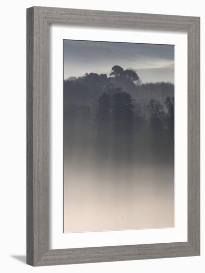 Misty Morning, River Teign, Devon, England-David Clapp-Framed Photographic Print