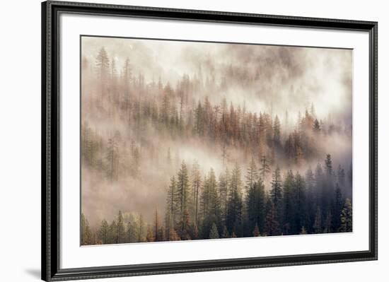 Misty Morning. Seen from Tunnel View. Yosemite National Park, California.-Tom Norring-Framed Photographic Print